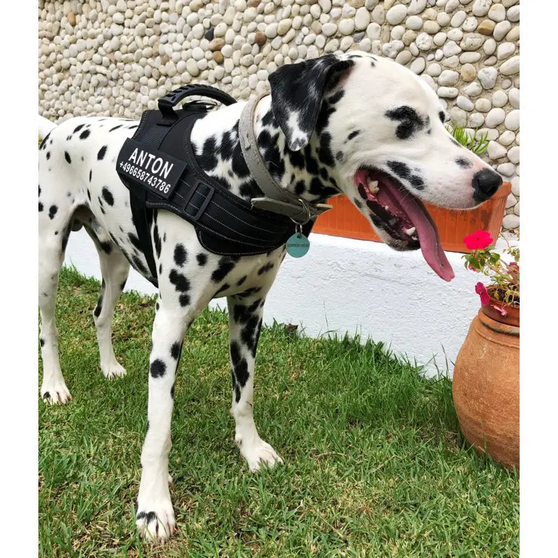 Personalisiertes Anti-Zug Hundegeschirr