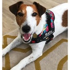 Personalisiertes Anti-Zug Hundegeschirr