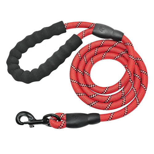 Premium Reflektierende Hundeleine aus Nylon